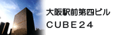 nCNIeBItBXCUBE24